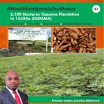 AGRICULTURAL RENAISSANCE IN AKS - CASSAVA CULTIVATION